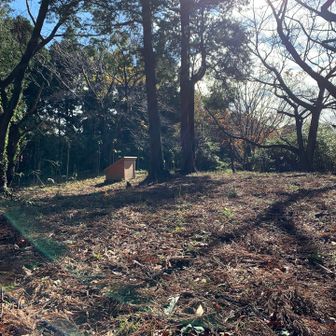 山頂はこんな感じです😊