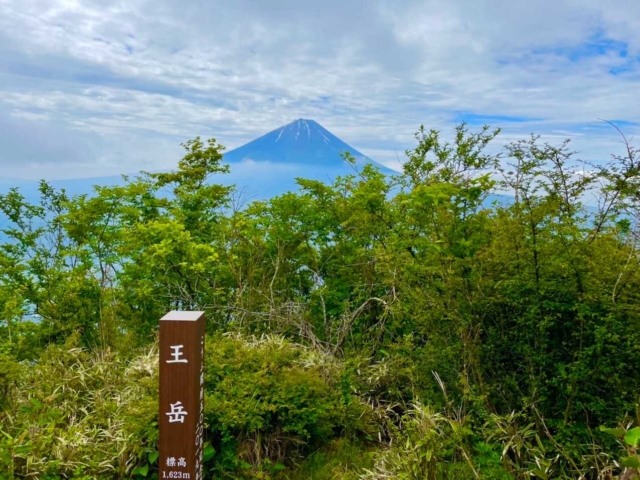 王岳の写真