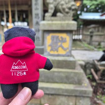 ご当地キャラです。
