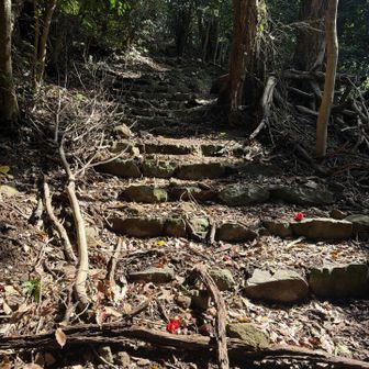 低山ですが、サインも多くて常に誰かが登っているような後も綺麗な順路になってました🙏🏻