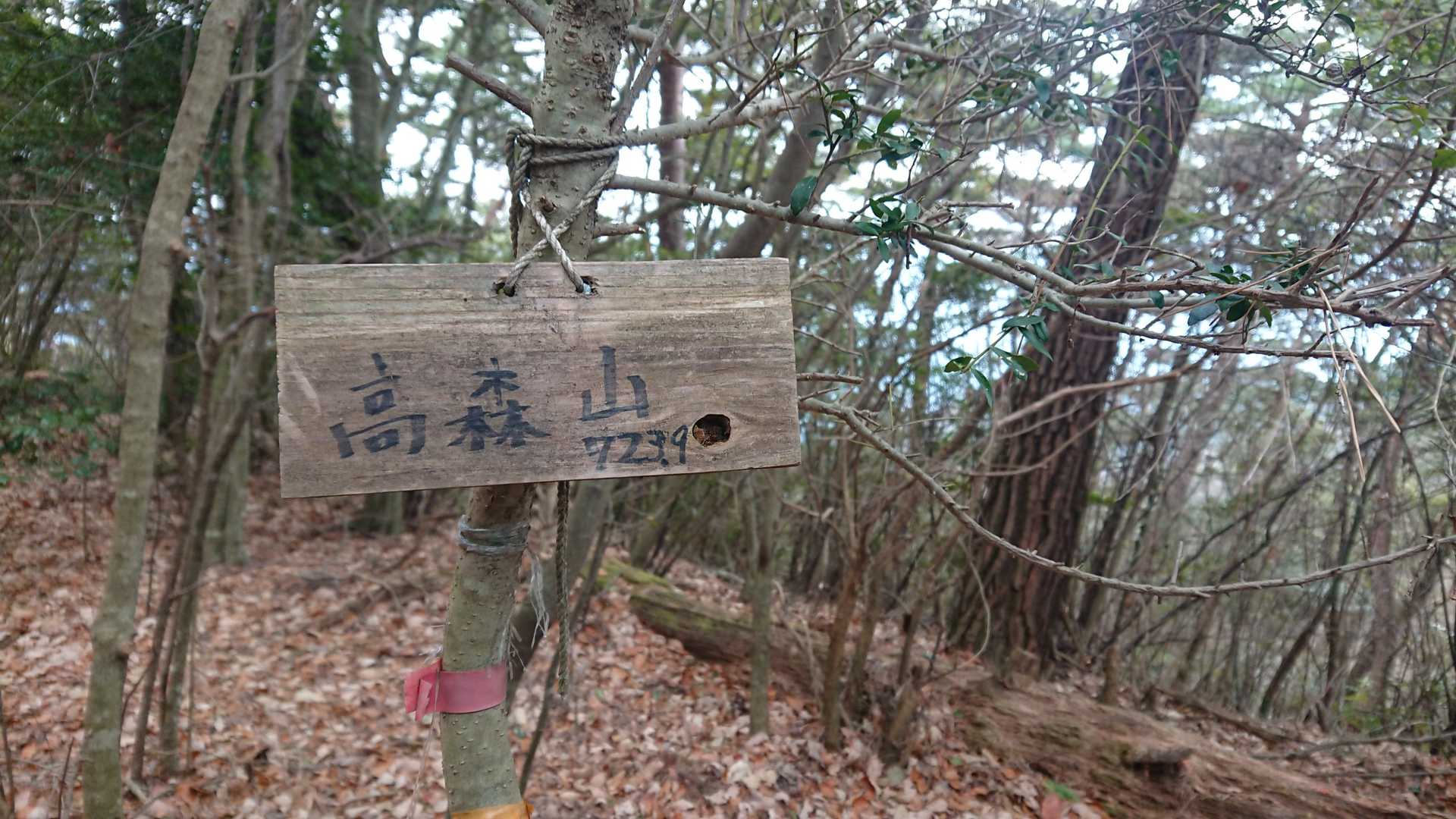 でも来れました♪