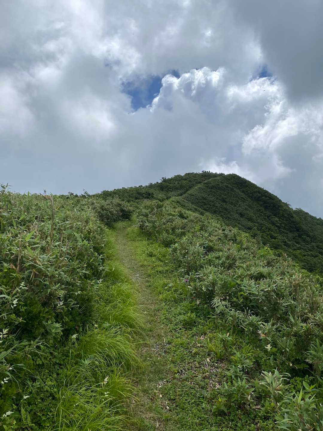 部子山 往復コースの写真