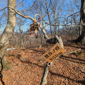 もひとつ寄り道、割谷ノ頭