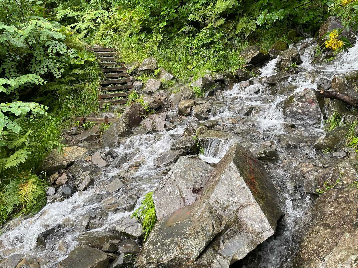 蝶沢🦋
これを渡らねばならぬ