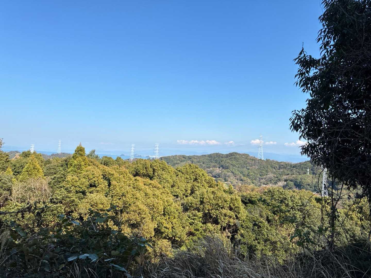 これまでよりだいぶ標高が低いからかまた違った雰囲気⛰️