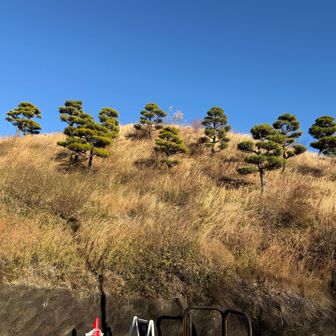 機神山
10座め
機神山山頂古墳で、６世紀後半頃に造られたと考えられる前方後円墳。
この中腹に機神神社があるのだが。。。
あちこちで立ち入り禁止で進めず諦めた。
が、登頂したことになっていた😁
