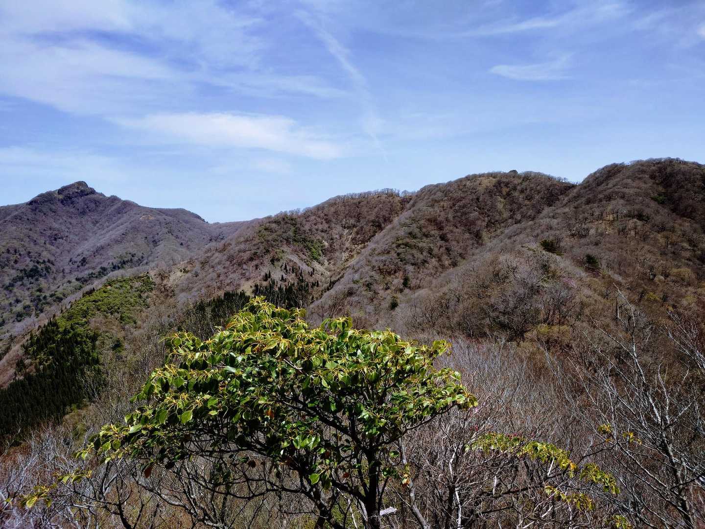 親父山〜祖母山辺の稜線