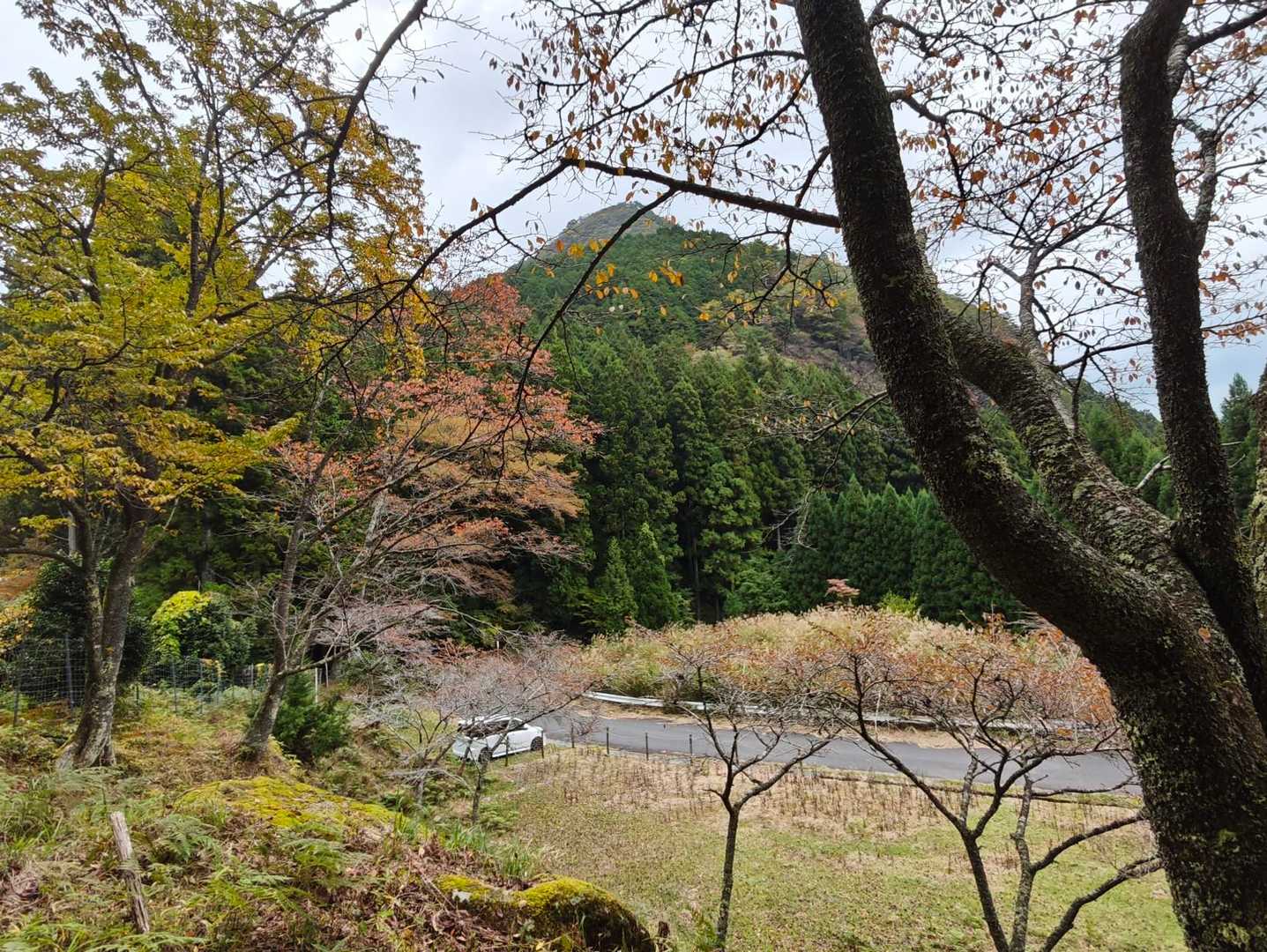駐車場到着でゴールです🙌🏻
後ろは兜岳⛰️
山行中、5人位の登山者とすれ違いましたが、皆さんどこに車停めてるんでしょうか🤔

到着後、車で後片付けしてると、すぐに雨足が強まってきてギリギリセーフでした☔
この後奈良まで戻って温泉で締めました♨️
