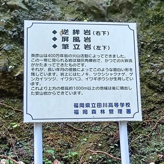 筆立岩はどれか解りませんでした