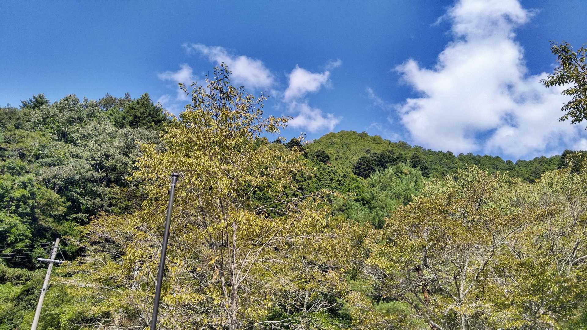 備中松山城方面を見上げる