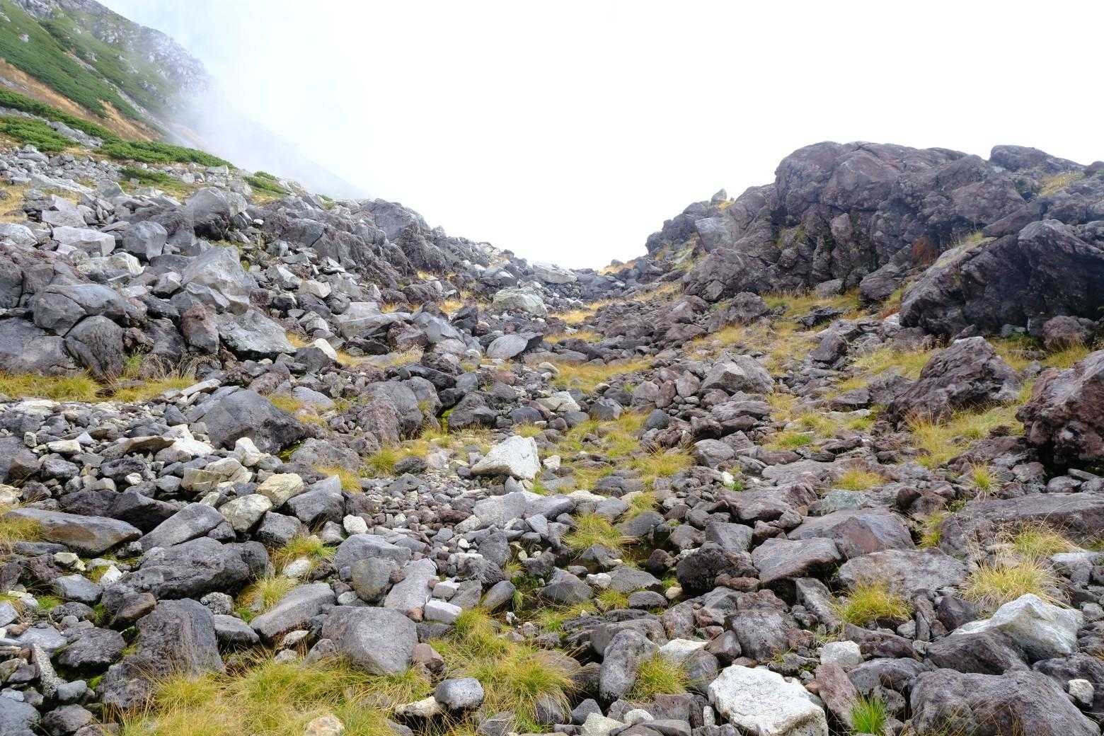 室堂登山口-浄土山-龍王岳-一ノ越 周回コースの写真