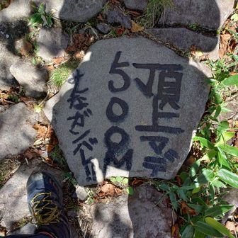 あと500😊