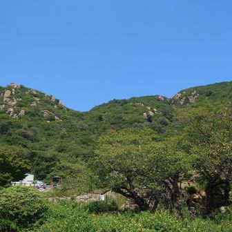 見上げると王子が岳ブルー🟦