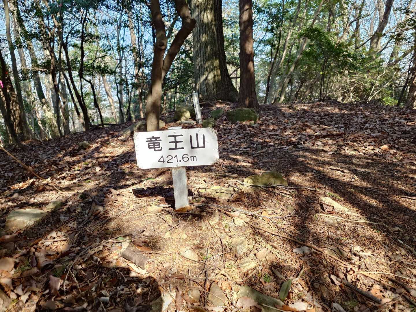 竜王山山頂