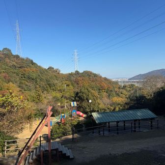 山日和ゃな〜🥰