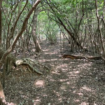 谷の日陰道は涼しい