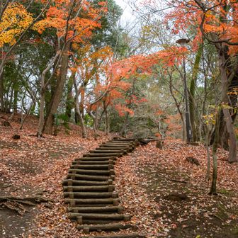 戸山公園は明治通りを挟んで箱根山地区と大久保地区の2つに分かれていて、大久保地区のサービスセンターで登頂証明書をもらえます。