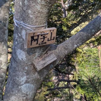 その裏の坂を登ると阿字山山頂です🙌