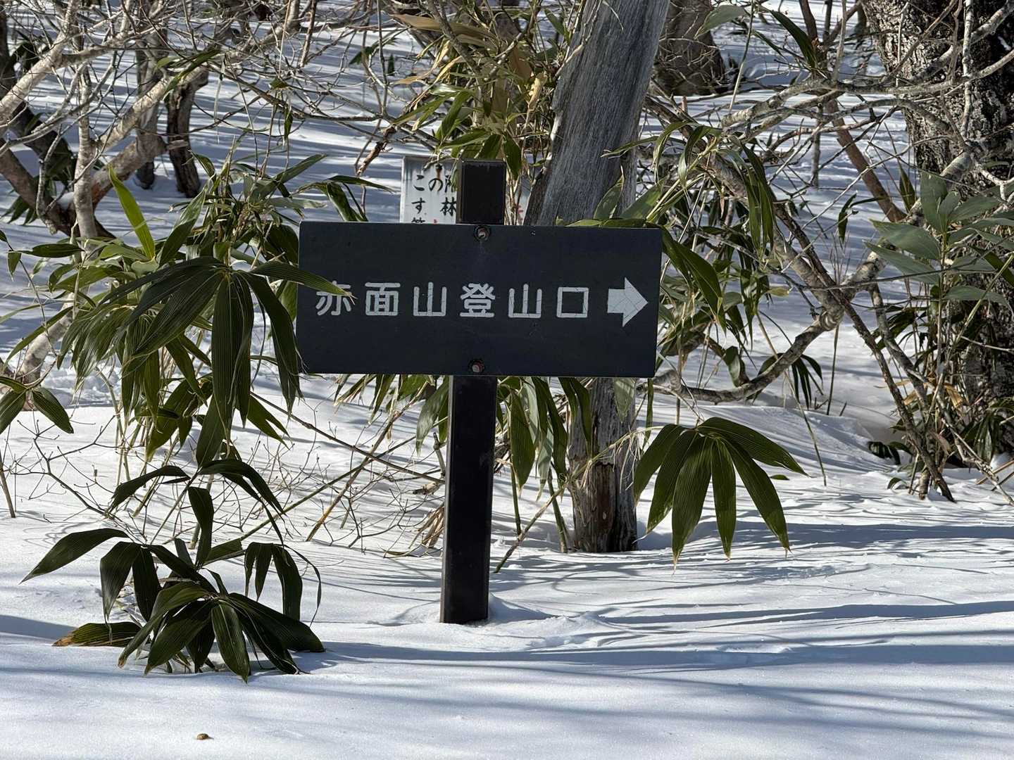 スキー場の上まで登ってやっとスタート▶️
これまでの苦しみは前菜ですか？
M魂が燃え上がります🔥