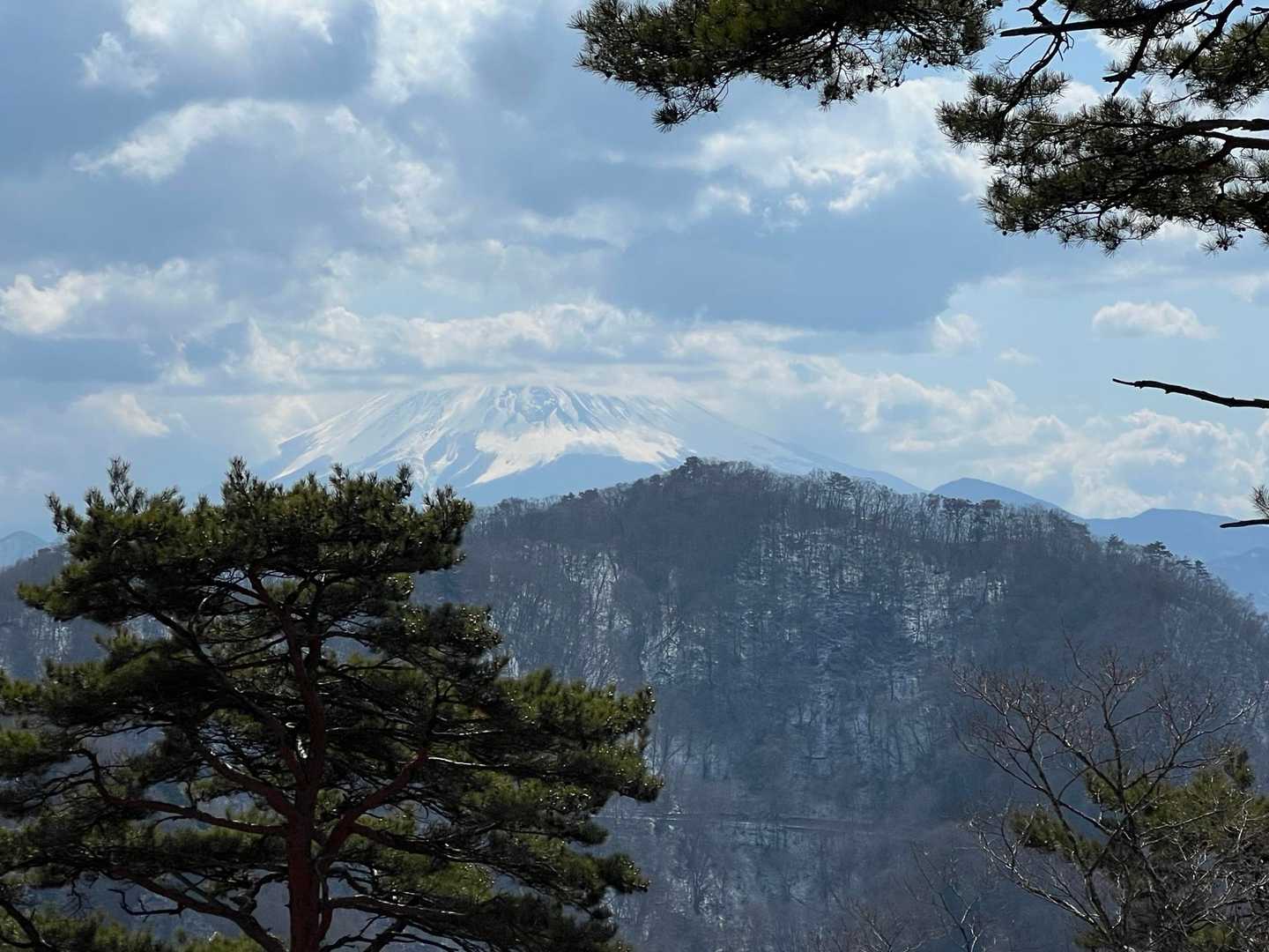 下半分だけ