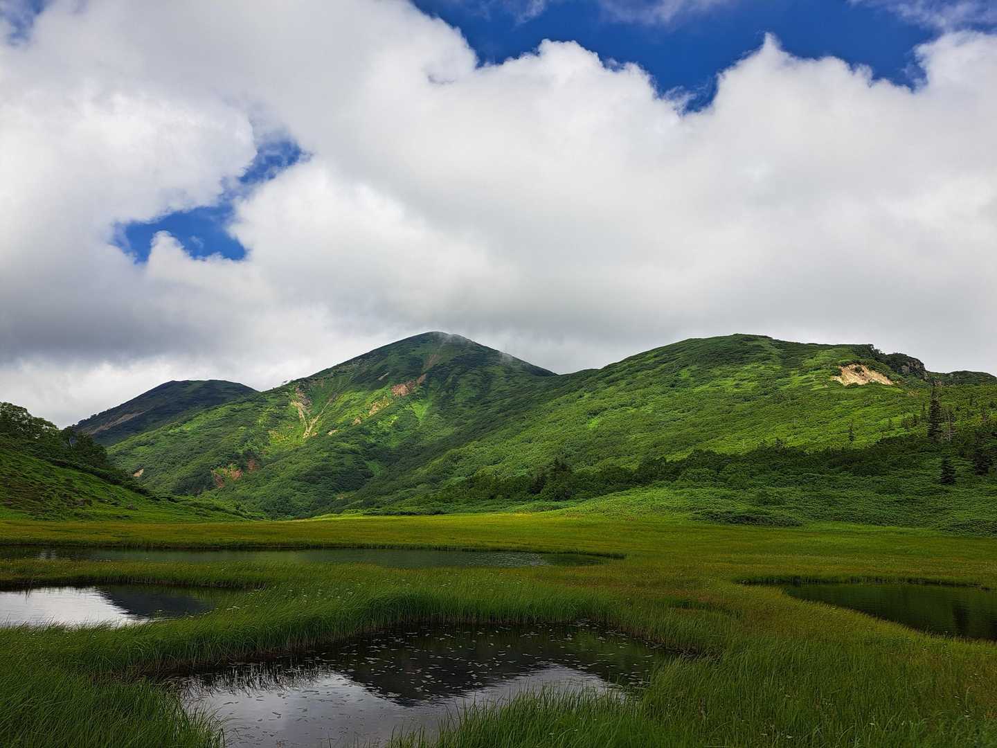 火打山 往復コース | 天狗の庭の湿原と花、CNNも選んだ「天上の楽園」への道の写真