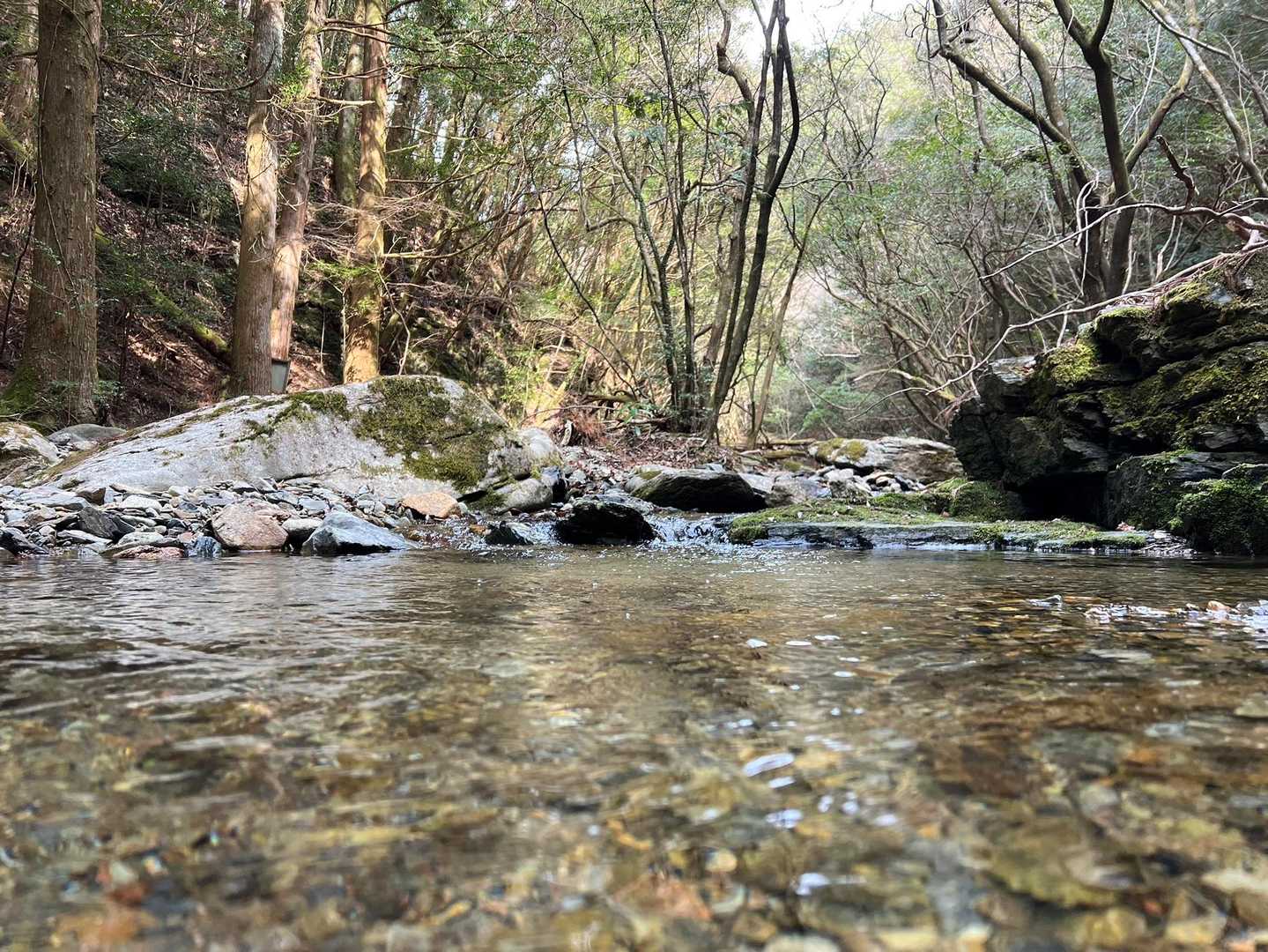 沢沿いを歩くとストレスも消えていきます☺️
川のせせらぎって本当に癒し〜✨