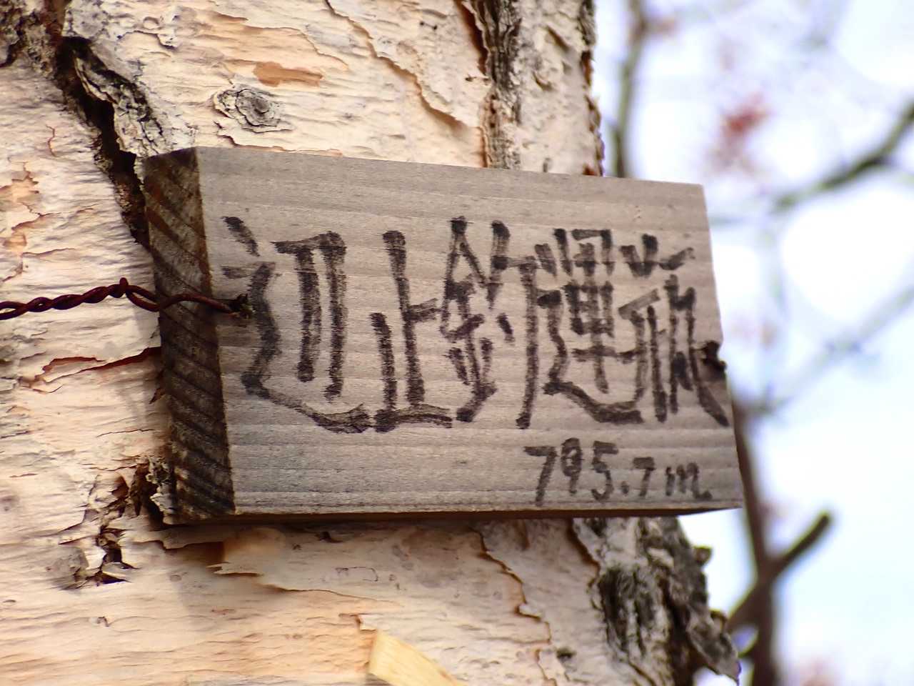 振り返ってみると今年一番のヤブだったかもしれません。

この山、またの名はソー・ラプチ・イトコ、滝・下る所・の果て。滝らしい滝は見ませんでした。

ペトツルンベ。同じ樺戸の当別川にも同じ地名があります。青山ダムの直下、川がΩ形に蛇行している箇所に 土方の沢 があります。上流の本流と、下流の本流の間にある川ということでペトツルンベ。
今回登った辺止釣運瓶は、総富地川の支流2つに北から包み込まれているからなんでしょうか。邪推ですが…