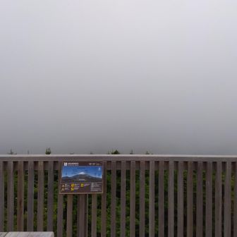 何も見えなかった。
