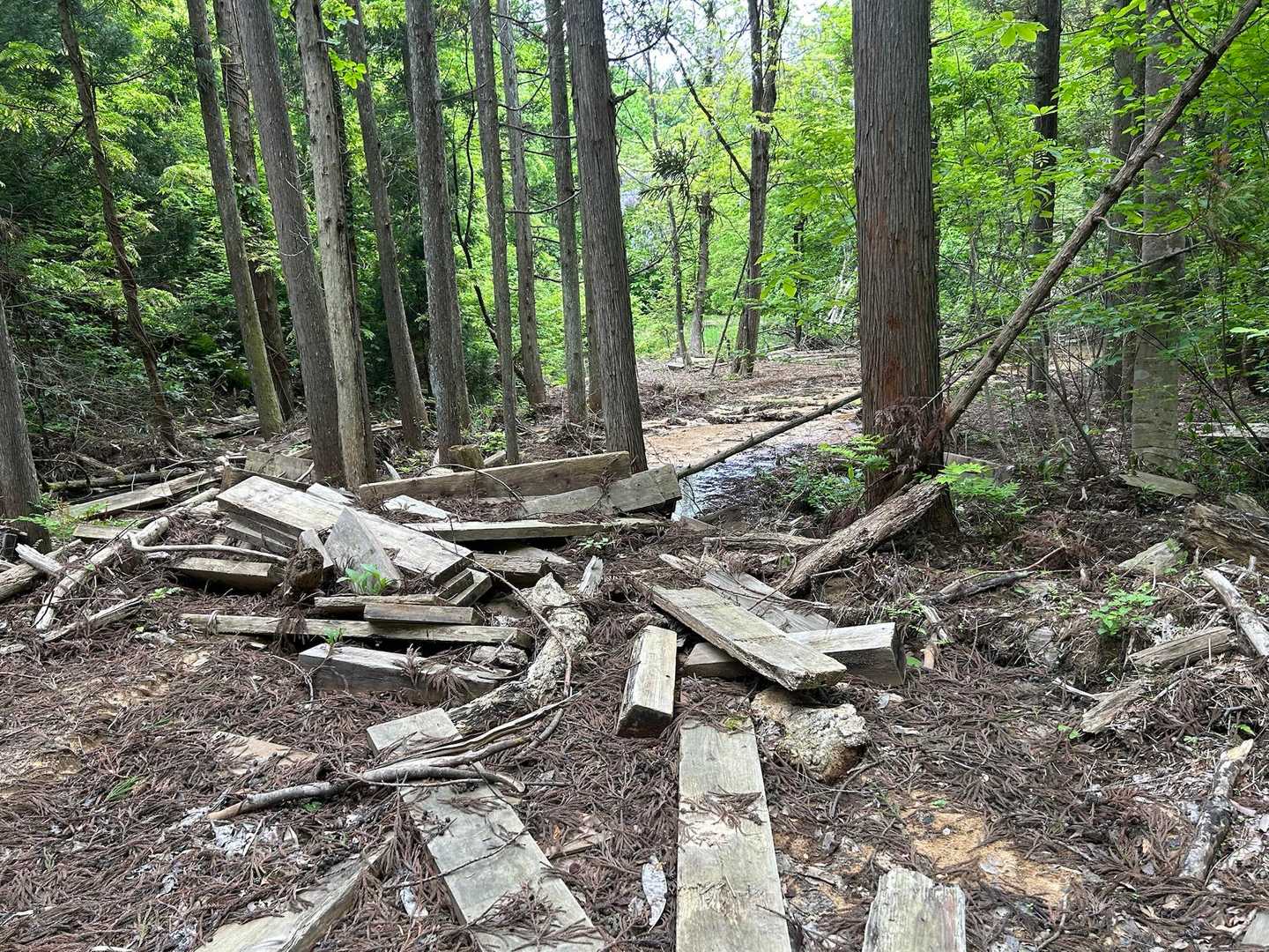 湿原の木道がこんなことに