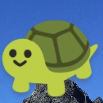 かめさんチーム