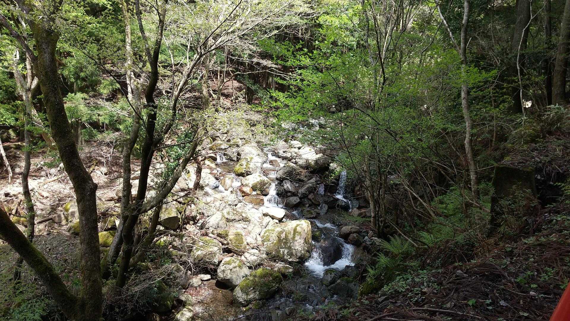 緑が鮮やかだと沢も映える