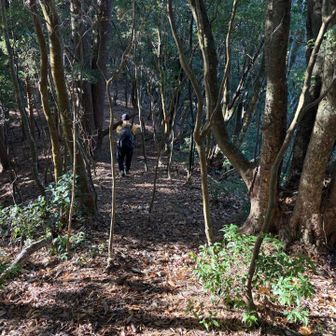 さて、洞ケ岳へ登る。