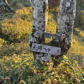 朝飯前に水を確保に
バラ谷と黒法師岳の鞍部(黒バラ平)から5分ぐらい下るとあります💦💦
バラ谷からは往復40〜50分
