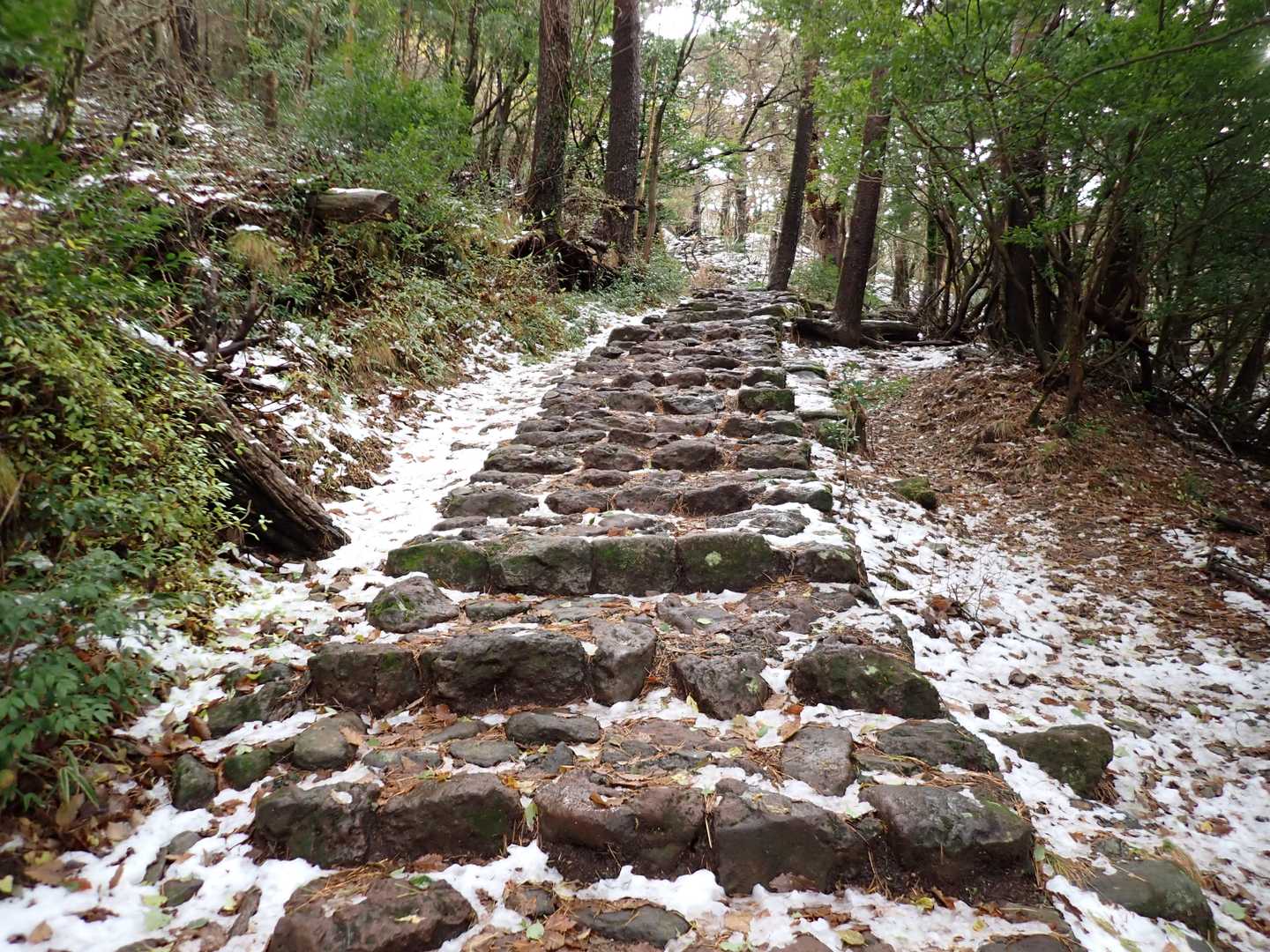 大浪池登山口-大浪池 往復コースの写真