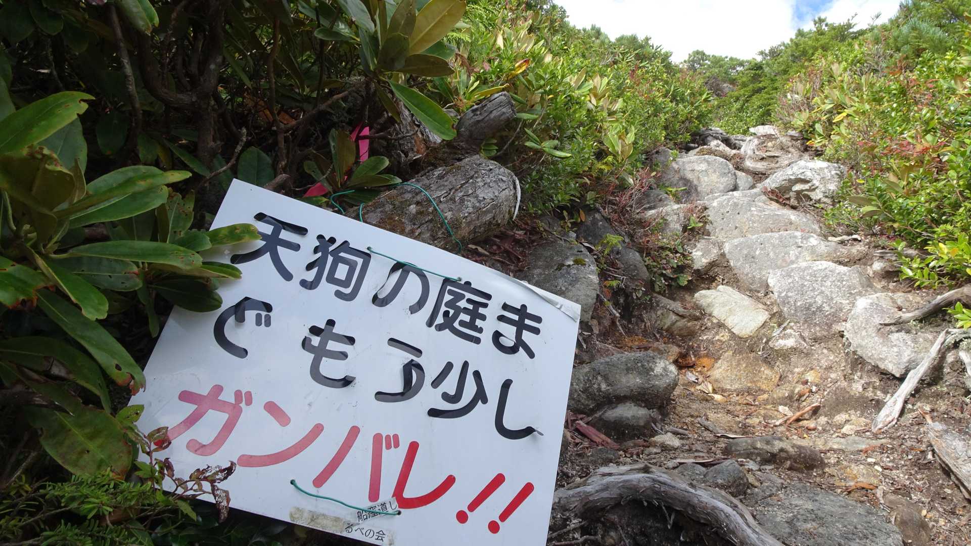 がんばる