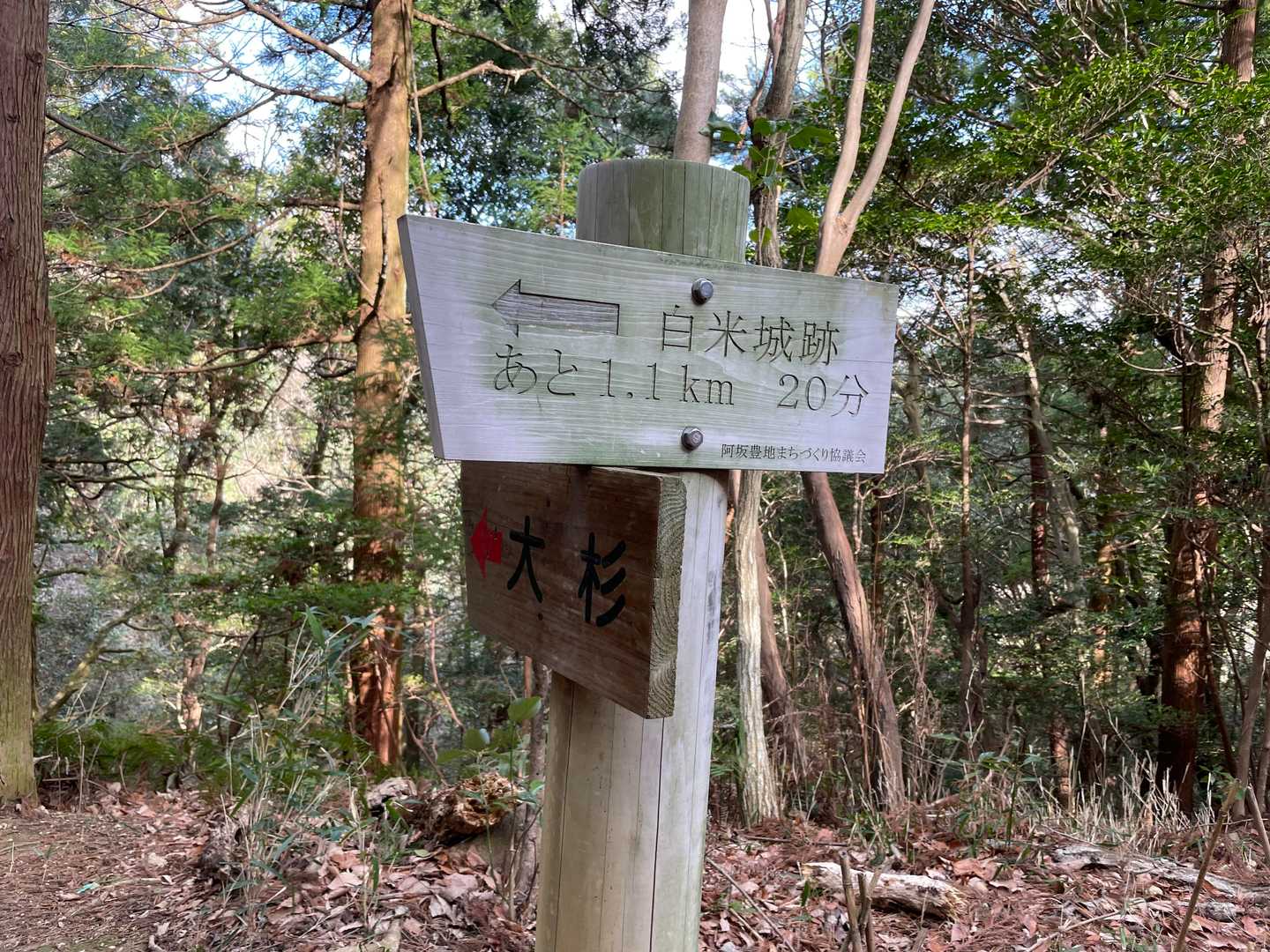 浄眼寺から桝形山（白米城跡）までは広い遊歩道になっていて、この日も女子中学生がトレーニングで登っていました