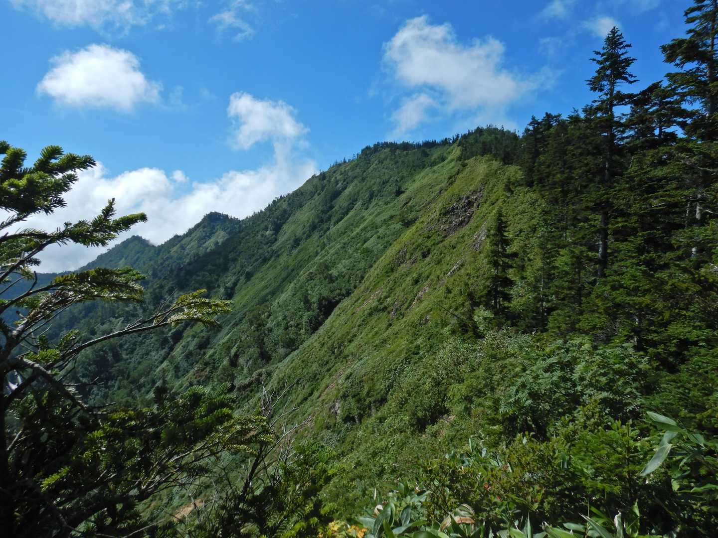ワルサ峰-佐武流山 往復コースの写真