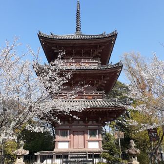 豊臣秀吉が一夜にして建てたとの逸話のある三重塔です😲