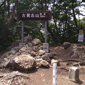 ピークは静かだった。