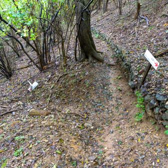 少し戻ってここから左へ下って白石車庫バス停を目指します