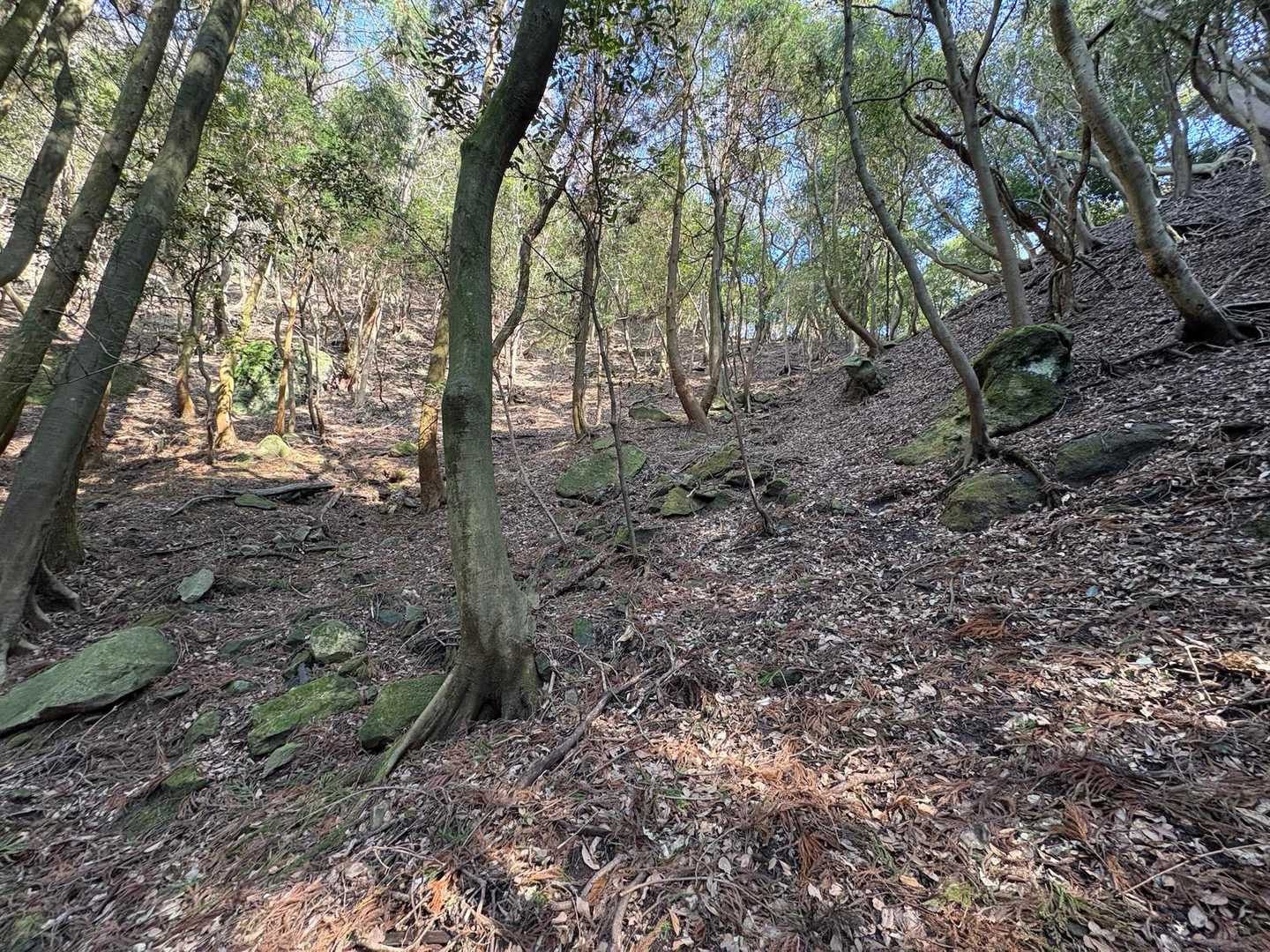 峠まで最後の登り…
なかなか急登です😓