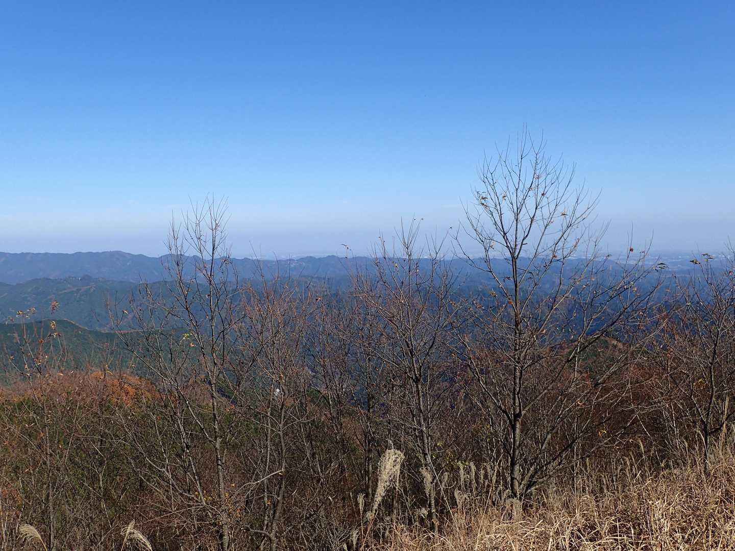 最近よく行っている飯能や秩父の山々が丸見えです。（どれがどの山か区別つきませんが💦）
