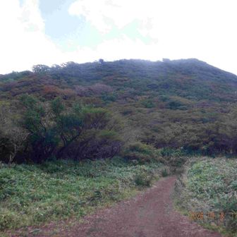 神山･駒ヶ岳分岐まで戻り、通り過ぎると両方のピークが見えた。
これは駒ヶ岳
