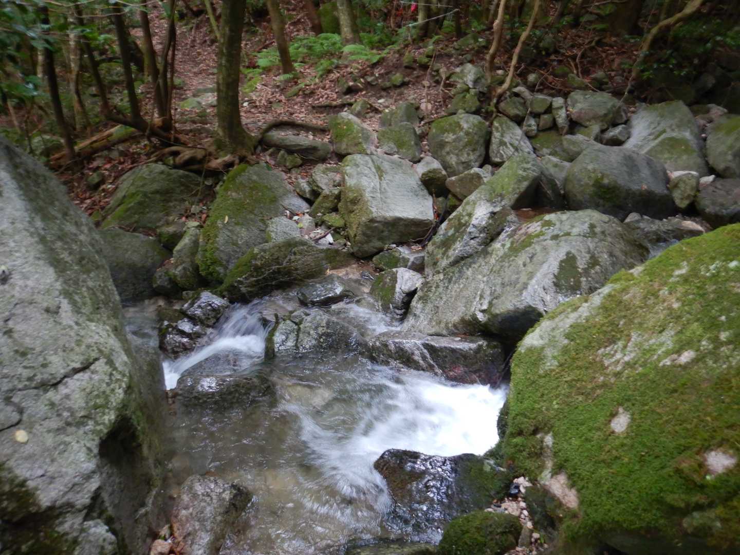 次の渡渉、渓流が涼しくて気持ちいい✨