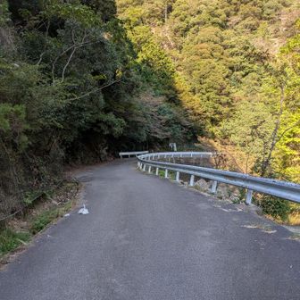 あとは緩やかに下る舗装路歩き