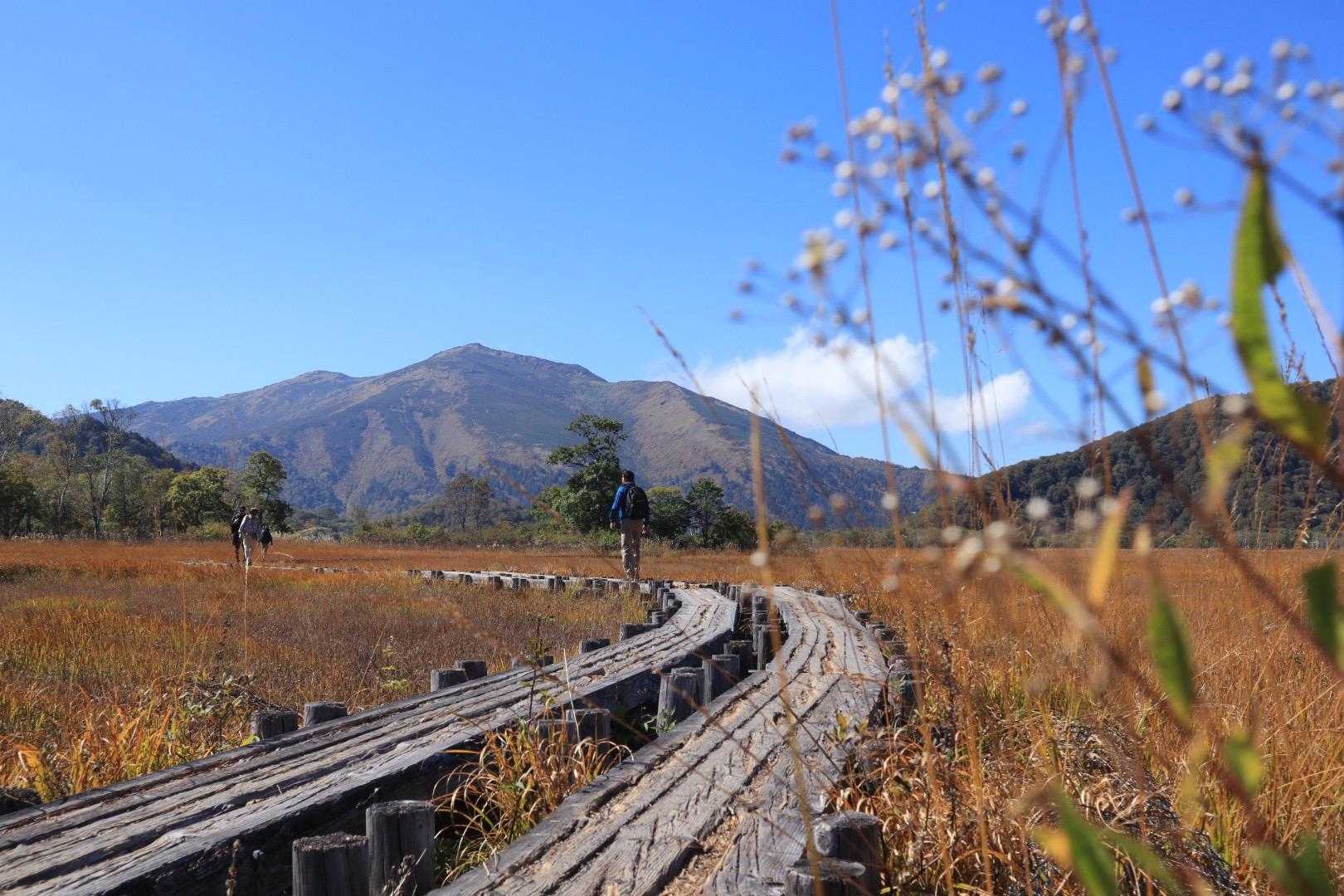 鳩待峠-見晴 往復コースの写真
