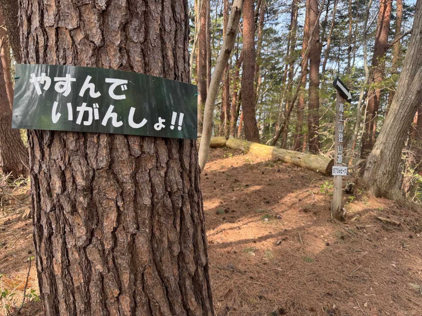 何ヶ所もこんな看板が✨