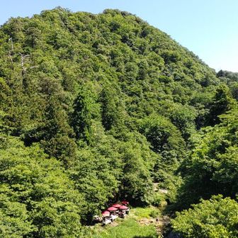 あやとり橋から２
さっきの川床が、ポツンと一軒家みたいに見えます🏠️
