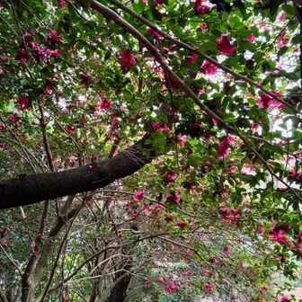 ピンク🎀💕💓💗