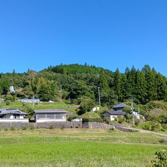 向山⛰️ｸﾞﾚｰﾋﾟｰｸ
今日は何度も道を間違えたので諦める😭